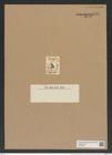Triceratium africanum Ehr. (de-Toni-Nr.: Genus 140, Species 4031) Zeichnungen Sammlung Grunow Nr. 7491 (NHMW-BOT-W0376611)